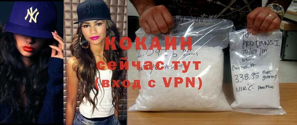винт Алексин