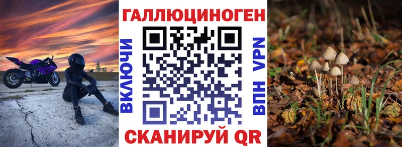 Псилоцибиновые грибы GOLDEN TEACHER Сенгилей
